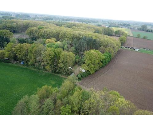 terrain de loisirs de 1514 m2 à Morkhoven avec électricité, Immo, Terrains & Terrains à bâtir, 1500 m² ou plus, Ventes sans courtier