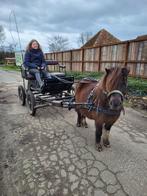 Recreatie marathonwagen (mini) shetlander, Dieren en Toebehoren, Zo goed als nieuw, Marathonwagen, Pony