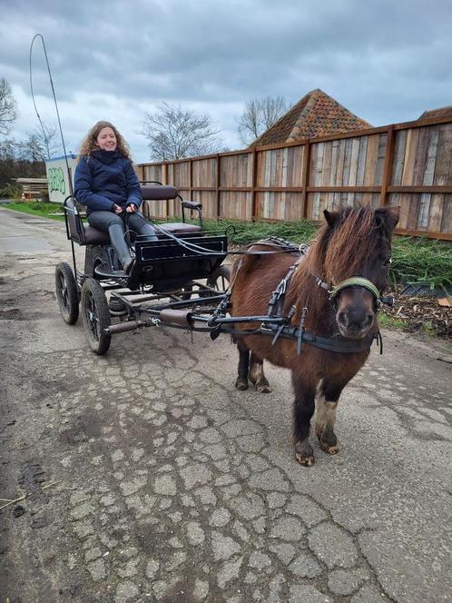 Recreatie marathonwagen (mini) shetlander, Dieren en Toebehoren, Rijtuigen en Koetsen, Zo goed als nieuw, Marathonwagen, Pony