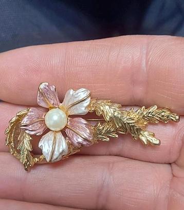 Mooie broche beschikbaar voor biedingen