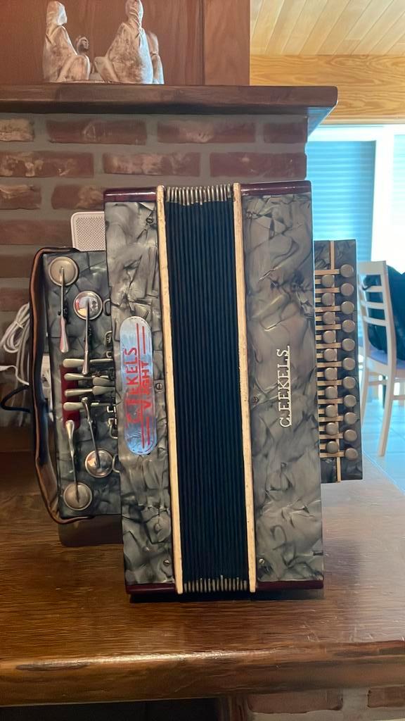 Accordeon, Muziek en Instrumenten, Accordeons, Zo goed als nieuw, Ophalen
