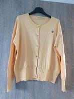 Cardigan jaune Scotch&Soda, Taille 36 (S), Scotch & Soda, Porté, Jaune