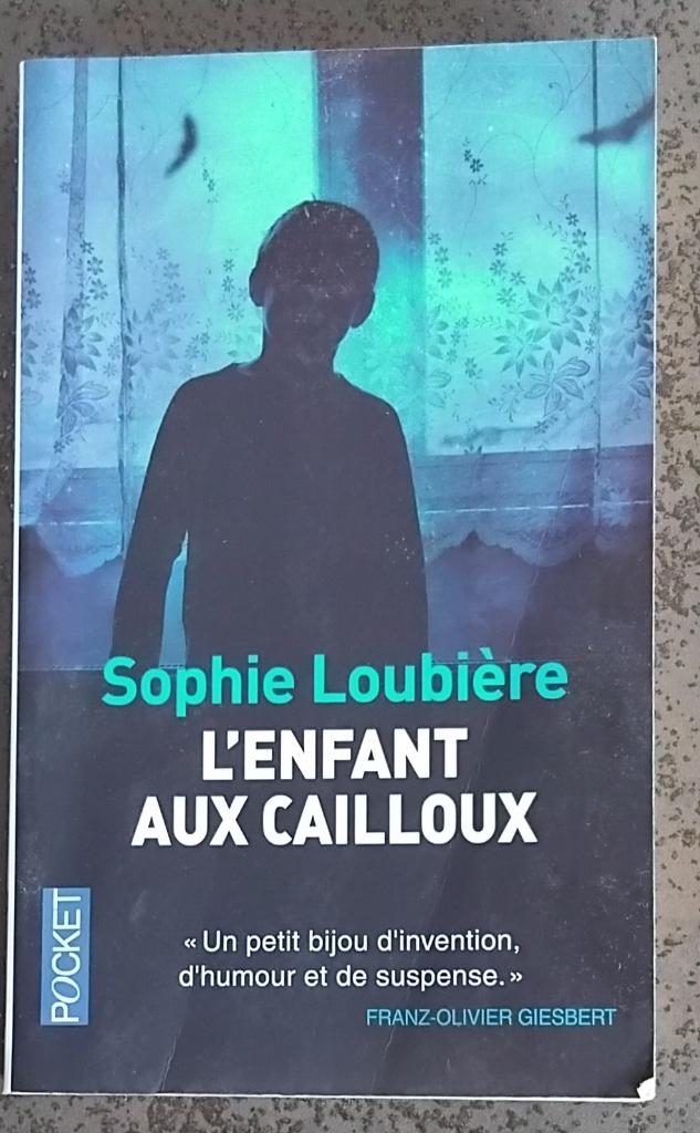 Sophie Loubière : L'enfant aux cailloux, Enlèvement ou Envoi
