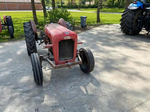 Ferguson 35 goudbuik, Zakelijke goederen, Landbouw | Tractoren, Massey Ferguson, Ophalen of Verzenden