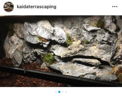 Terrarium inrichting, Dieren en Toebehoren, Reptielen en Amfibieën | Toebehoren, Zo goed als nieuw, Ophalen