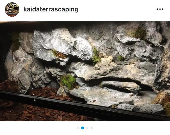 Terrarium inrichting, Dieren en Toebehoren, Reptielen en Amfibieën | Toebehoren, Zo goed als nieuw, Ophalen