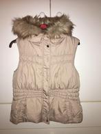 bodywarmer met kap dames M - Pimkie, Vêtements | Femmes, Blousons sans Manches, Pimkie, Enlèvement ou Envoi, Neuf, Taille 38/40 (M)
