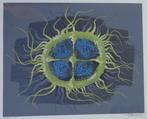 WILLY BOSSCHEM / ZEEANNEMOON / KLEURLITHO / 66x77cm / KADER, Ophalen