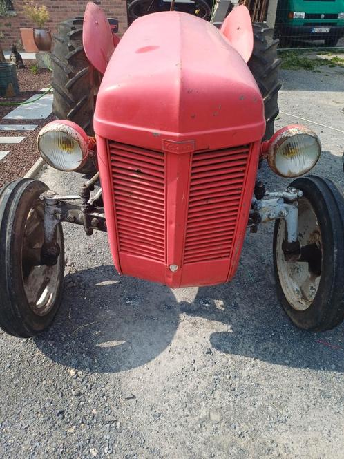 Massey ferguson  1300 euros, Zakelijke goederen, Landbouw | Tractoren, Massey Ferguson, Ophalen of Verzenden