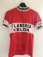 Retro Koerstrui Flandria Velda., Ophalen of Verzenden, Zo goed als nieuw