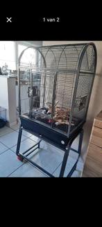 Valparkieten en een grote kooi, Dieren en Toebehoren, Ophalen