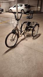 Elektrische driewieler, Fietsen en Brommers, Fietsen | Driewielfietsen, Ophalen