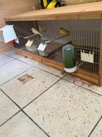 Koppel met jongen en kweekkooi