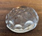 Val Saint Lambert paperweight lieveheersbeestje getekend, Antiek en Kunst, Ophalen of Verzenden