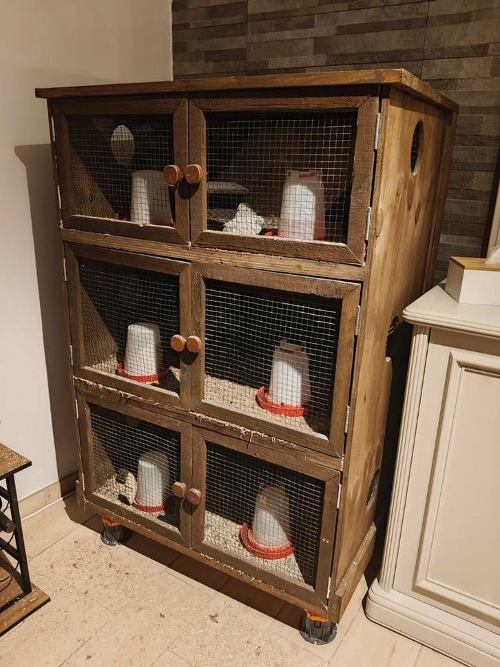 Houten kooi met 3 niveaus: knaagdieren, vogels of vee, Dieren en Toebehoren, Knaagdieren en Konijnen | Hokken en Kooien, Zo goed als nieuw