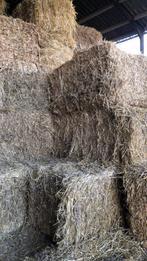 Stro balen, Dieren en Toebehoren, Stalling en Weidegang