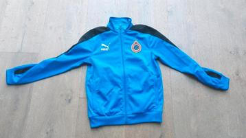 Puma - Club Brugge - sportvest blauw- maat 14 EU beschikbaar voor biedingen