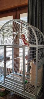Cage a perroquet, Ophalen, Gebruikt, Metaal, Vogelkooi
