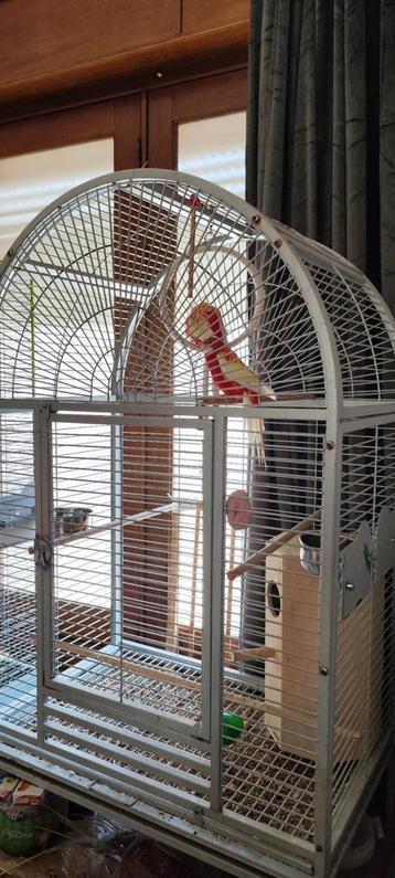 Cage a perroquet, Enlèvement, Utilisé, Métal, Cage à oiseaux