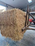Mooi stro, geen regen gehad!, Ophalen