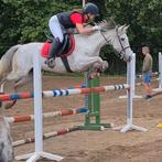 Veelzijdige 8 jarige D sport pony, Dieren en Toebehoren, Merrie, M