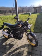 Yamaha xsr 125 legacy, Tourisme, 125 cm³, Particulier, Éclairage LED