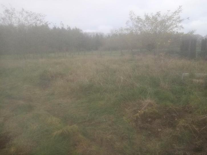 Te Huur : Perceel grond, Vakantie, Campings, Dorp, In bos, Huisdier toegestaan, Tuin