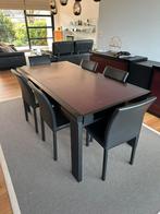 Eettafel met 6 bijhorende stoelen, Huis en Inrichting, Tafels | Eettafels, 50 tot 100 cm, 150 tot 200 cm, Gebruikt, Rechthoekig