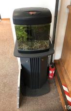“Klein” aquarium op kolomkastje., Dieren en Toebehoren, Ophalen, Gebruikt, Leeg aquarium