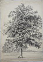Hubert Diepen aquarel "Boom", ca. 1850, met watermerk, Ophalen, Minder dan 50 cm, Gebruikt, Minder dan 50 cm