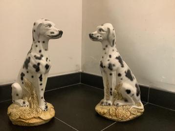 Dalmatiër ‘s  jaren 70 !  beschikbaar voor biedingen