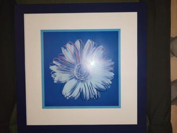 2 marineblauwe kaders 50x50 cm met afbeelding van bloem
