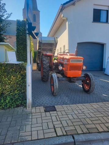 Tuinonderhoud en houtklieven disponible aux enchères