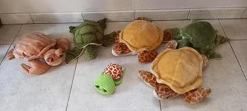 knuffel waterschildpad beschikbaar voor biedingen