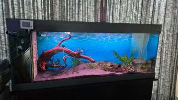 Zeer mooi aquarium te koop  beschikbaar voor biedingen