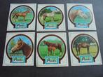stickers pinti paarden, Verzenden, Nieuw, Dier en Natuur
