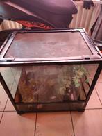 Terrarium, Animaux & Accessoires, Reptiles & Amphibiens | Accessoires, Comme neuf, Enlèvement