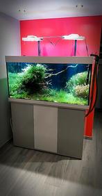 Juwel 350 liter met CO2-kitkast, 2 filters, verlichting, Dieren en Toebehoren, Ophalen