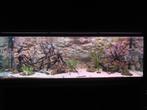 Spiderwood wortelhout lot aquarium (spider wood), Plant(en), Steen of Hout, Gebruikt, Ophalen