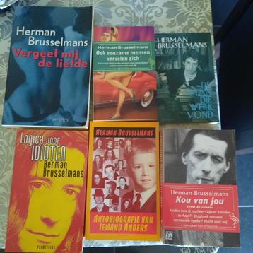 Herman Brusselmans boeken ( 6 stuks ) . Doe bod . beschikbaar voor biedingen