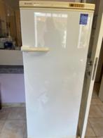 diepvries, Elektronische apparatuur, Vriezers en Diepvrieskisten, Gebruikt, 140 tot 160 cm, Ophalen, Vrieskast