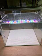Aquascapers cube aquarium en toebehoren, Ophalen