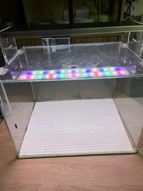 Aquascapers cube aquarium en toebehoren, Dieren en Toebehoren, Vissen | Aquaria en Toebehoren, Ophalen