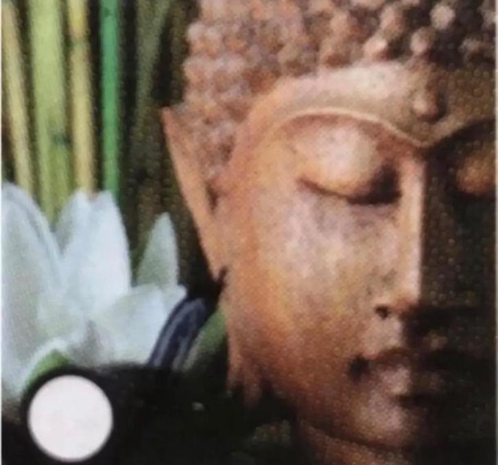 Nieuw fotodoek voor tuin 60x60cm boedha hoofd & lotusbloem, Tuin en Terras, Tuinwanddecoratie, Nieuw, Ophalen of Verzenden