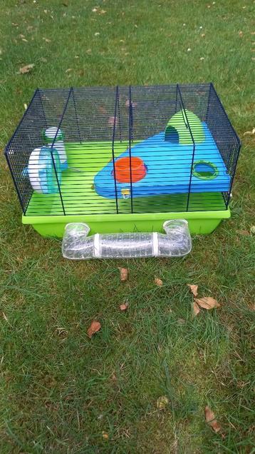 Hamsterkooi beschikbaar voor biedingen