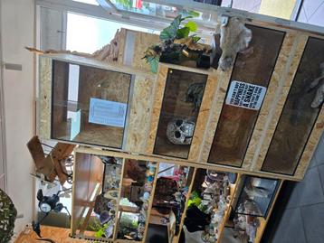 Terrariums,  toebehorenen,  voedseldieren en meer! beschikbaar voor biedingen
