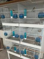 Cages d élevage Domus Molinari, Animaux & Accessoires, Enlèvement, Comme neuf, Métal, Cage d'élevage