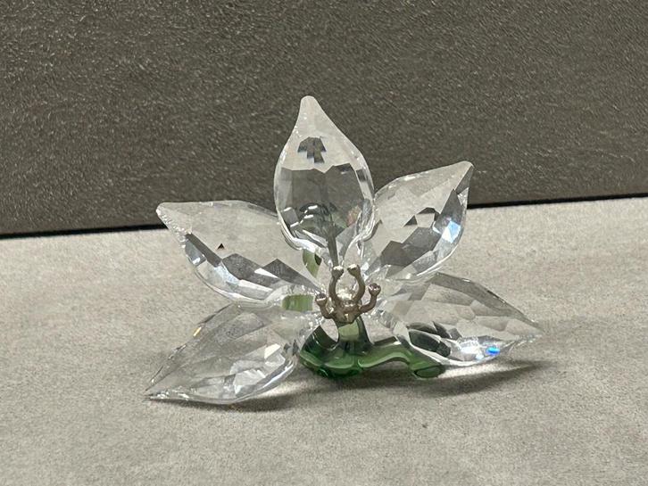 Swarovski SCS Ledengeschenk 2013 Orchidee, Verzamelen, Swarovski, Nieuw, Figuurtje, Ophalen of Verzenden