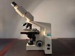 Microscoop lichtoptisch semiprofessioneel, Audio, Tv en Foto, Optische apparatuur | Microscopen, Ophalen of Verzenden, Gebruikt