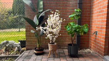Set van 3 decoratieve kunstplanten met potten  beschikbaar voor biedingen